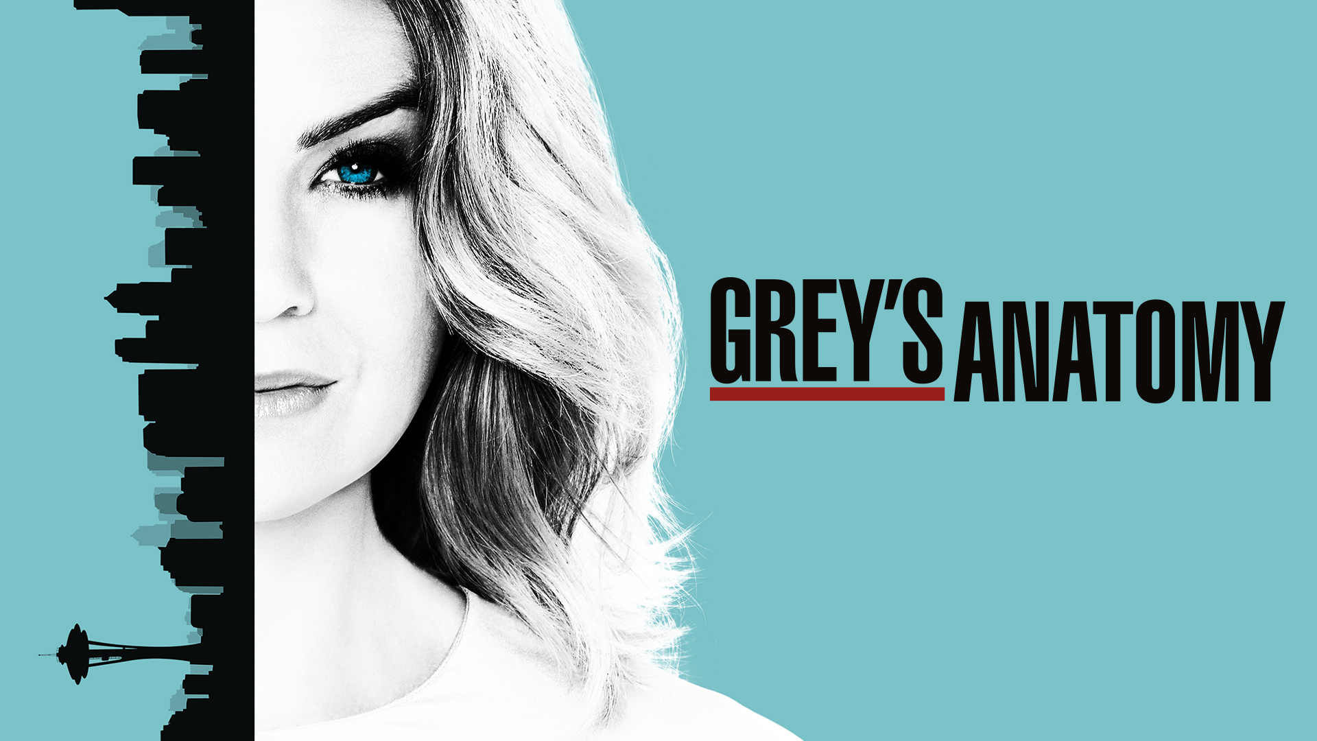 Grey's Anatomy Show Banner